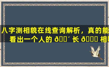 八字测相貌在线查询解析，真的能看出一个人的 🐴 长 🐒 相吗